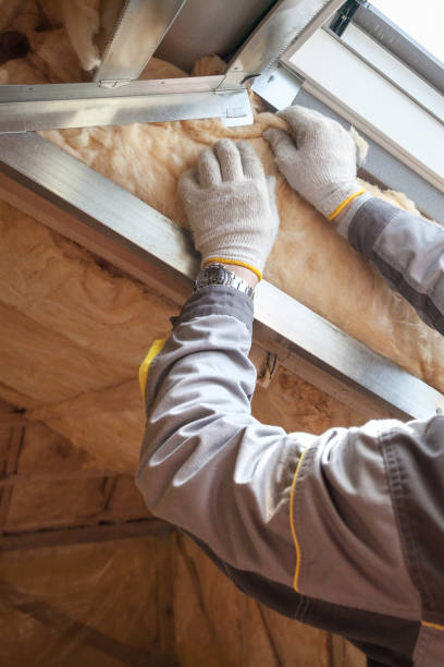 Best Insulation Removal  in North Corbin, KY