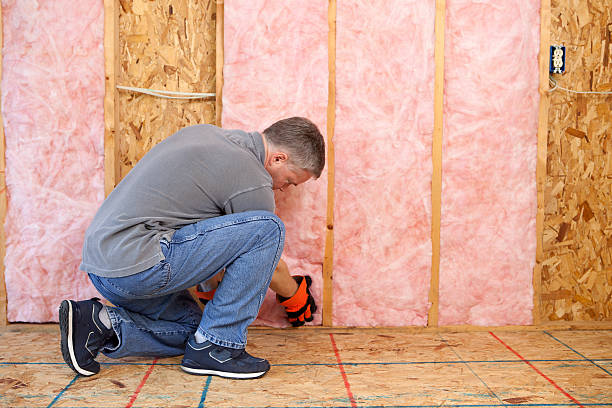 Best Insulation for Commercial Buildings  in North Corbin, KY